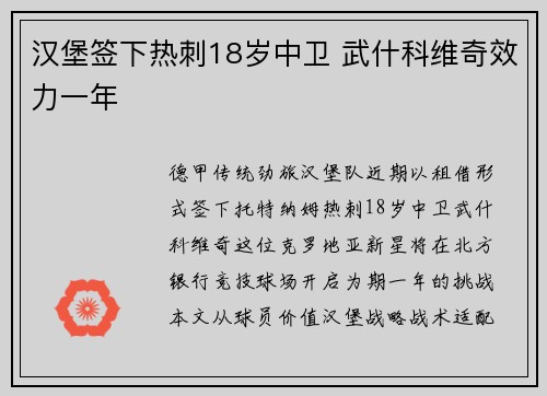 汉堡签下热刺18岁中卫 武什科维奇效力一年